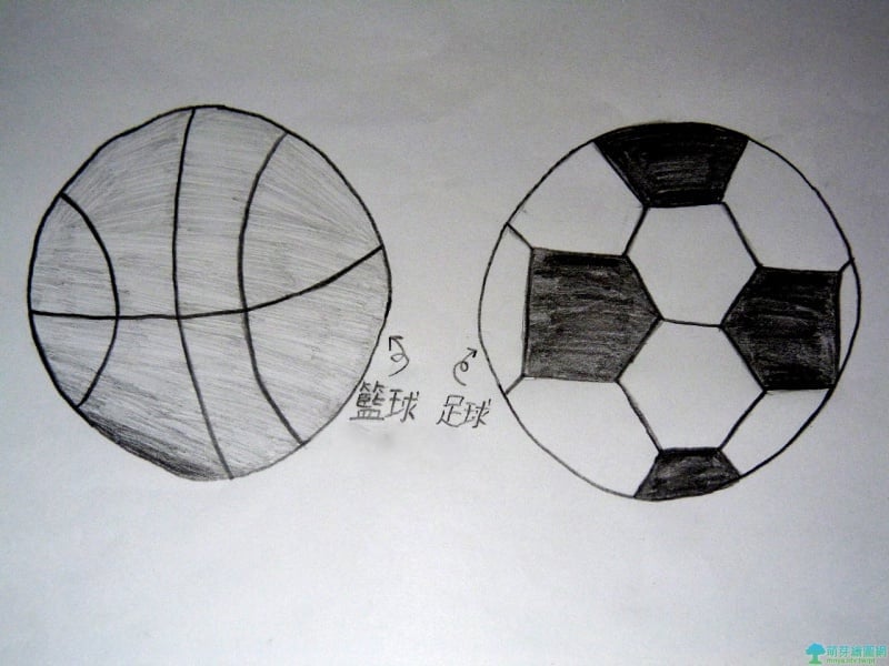 籃球和足球