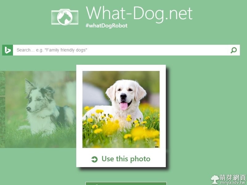 What-Dog.net:偵測照片中的人像什麼狗