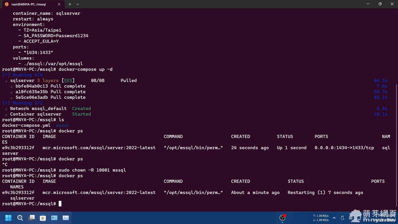 Ubuntu x Docker：安裝 MSSQL 不求人！快速安裝啟動教學
