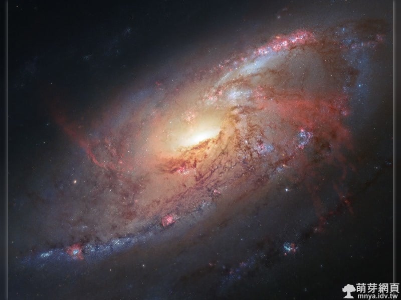 20130205 M106 獵犬座的螺旋星系