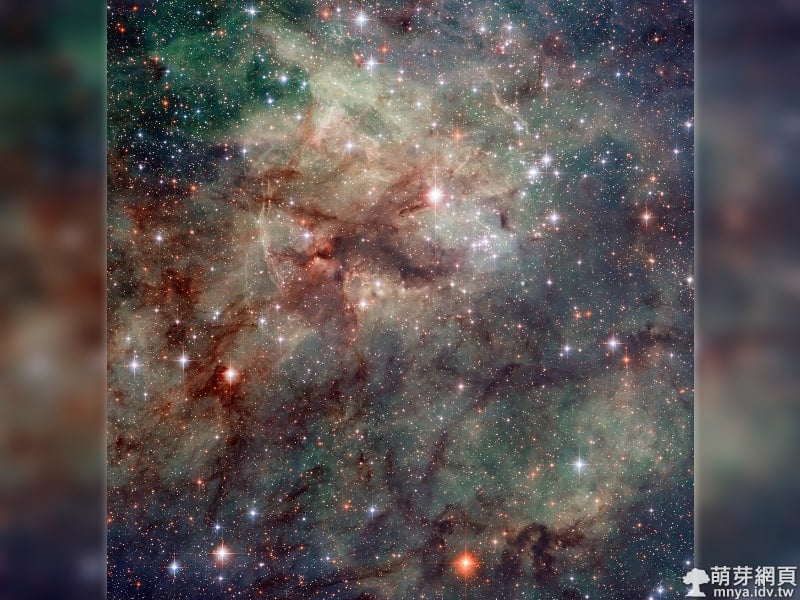 20110315 劍魚座的超新星殘骸(蜘蛛星雲)