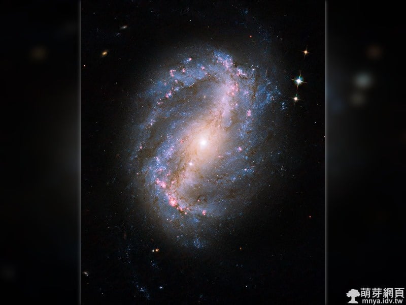 20090909 NGC 6217 棒旋星系