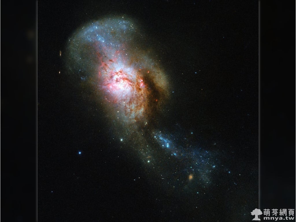 20190930 NGC 4194 蛇和石頭（美杜莎的融合）