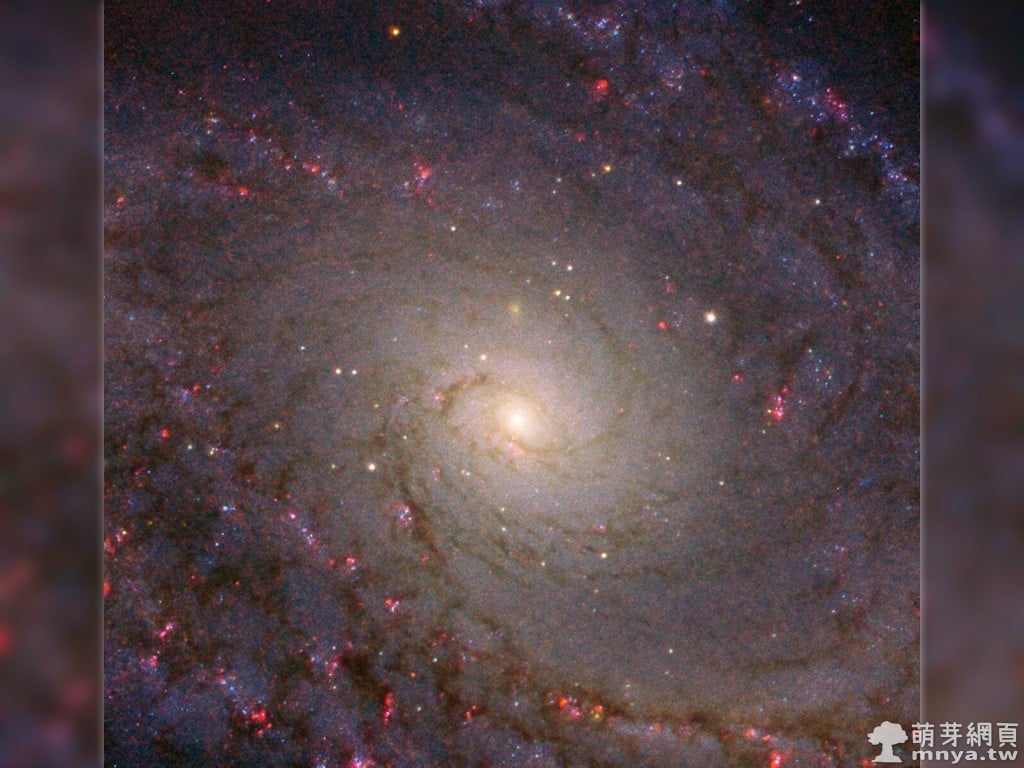 20200203 NGC 5364 大自然的宏觀設計