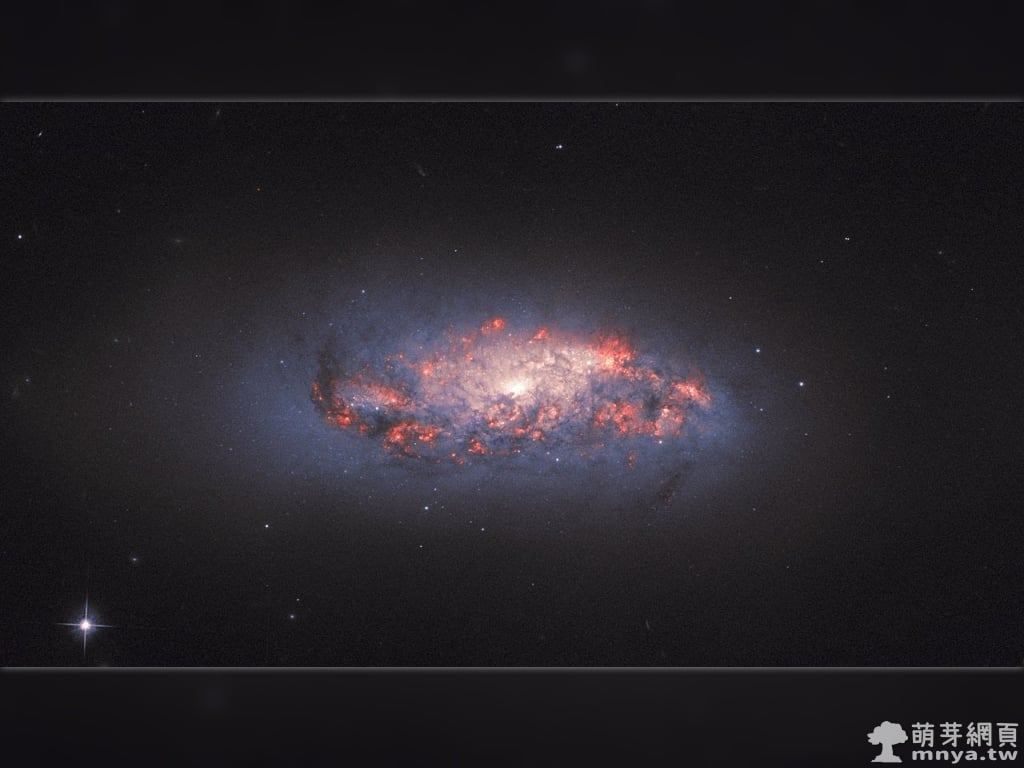 20190701 NGC 972 綻放中的玫瑰