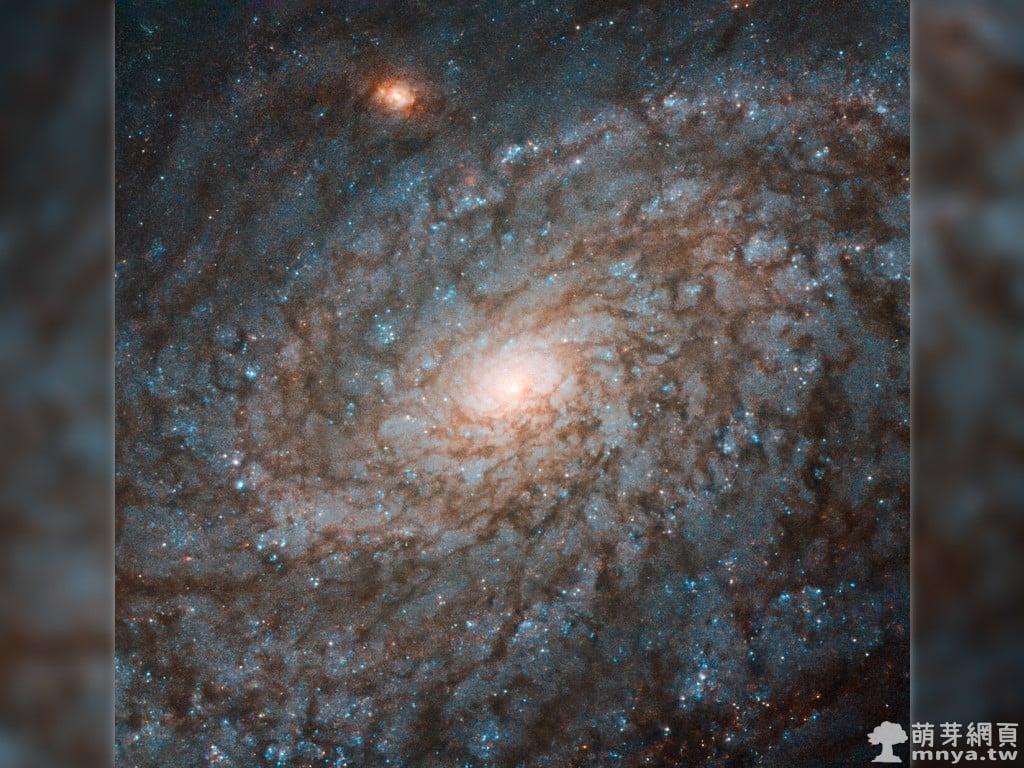 20200316 NGC 4237 棉絨星系