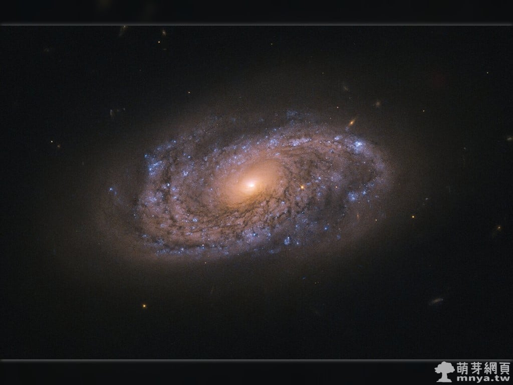 20200413 NGC 2906 尋找死亡恆星