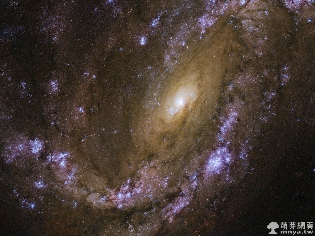 20190610 NGC 4051 爆炸性的星系