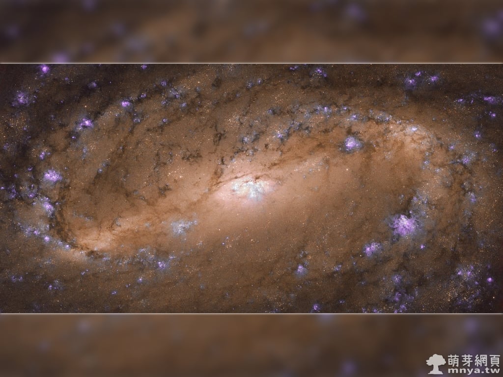 20190429 NGC 2903 象徵性的星系