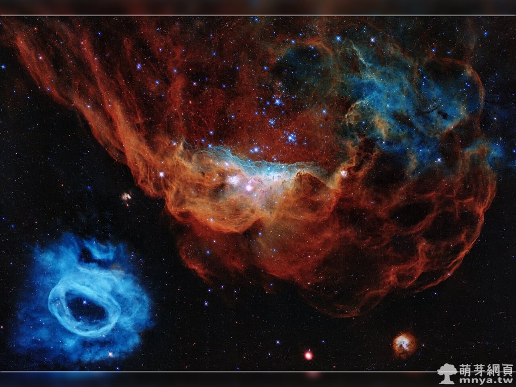 20200424 NGC 2014 & NGC 2020 以璀璨的恆星誕生為背景，慶祝哈伯太空望遠鏡發射 30 週年