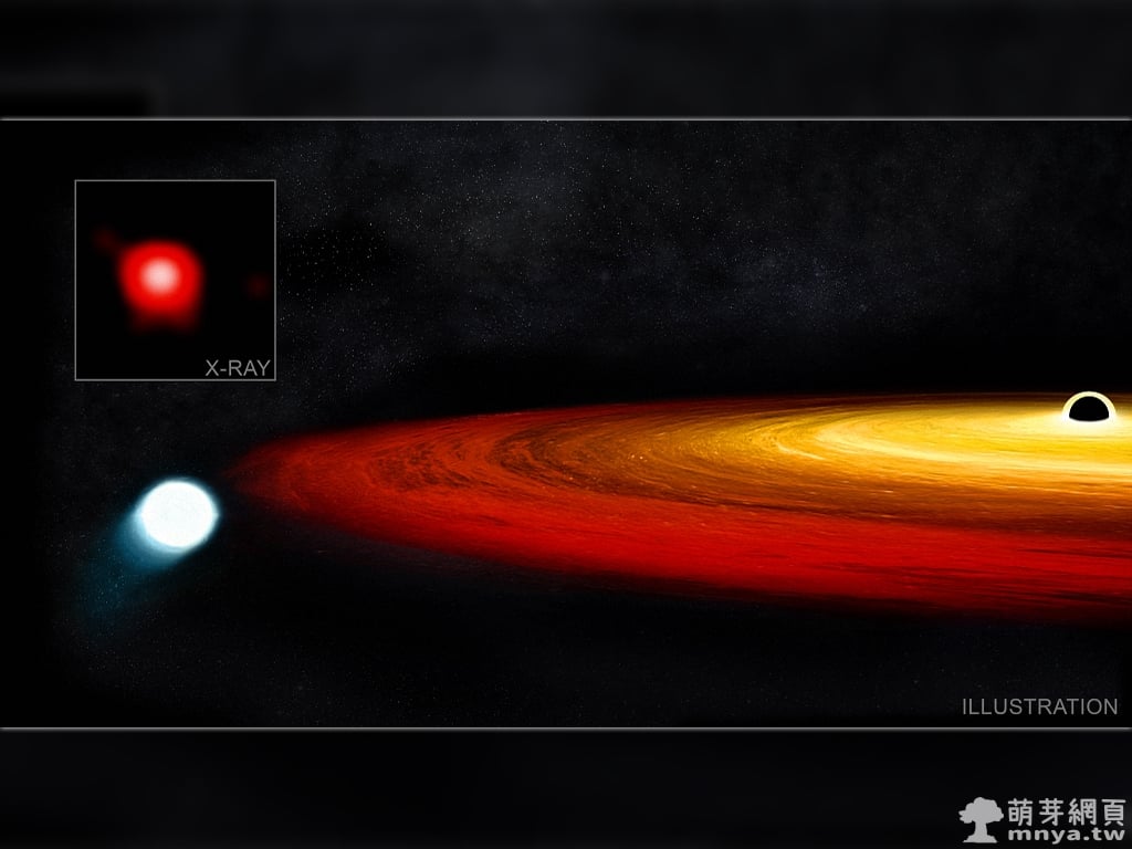 20200424與黑洞近距離擦肩而過的恆星幸免於難