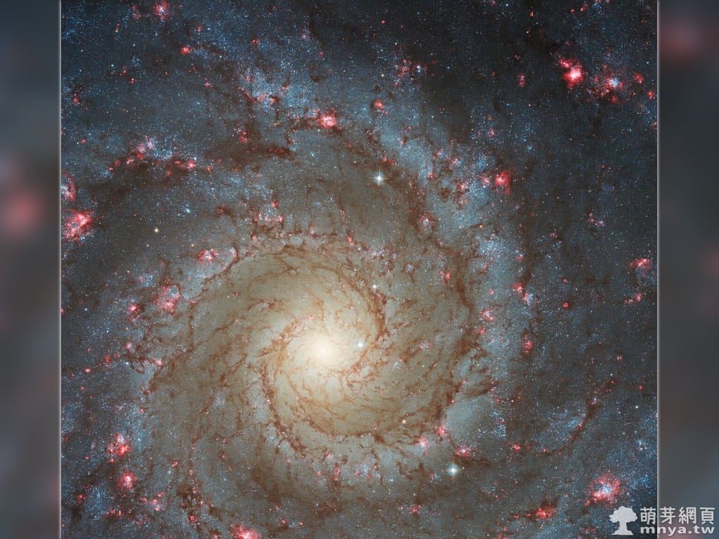 20220829哈伯望向 M74