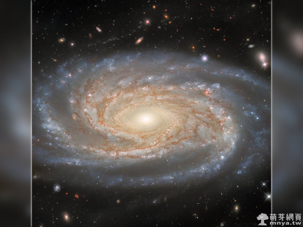 20221107 NGC 7038 研究一個特別的星系