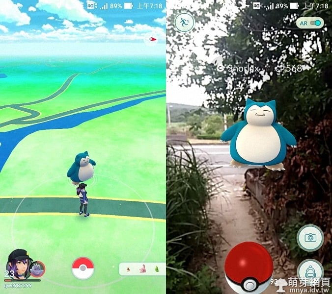 Pokémon GO 捕捉楊梅野生卡比獸