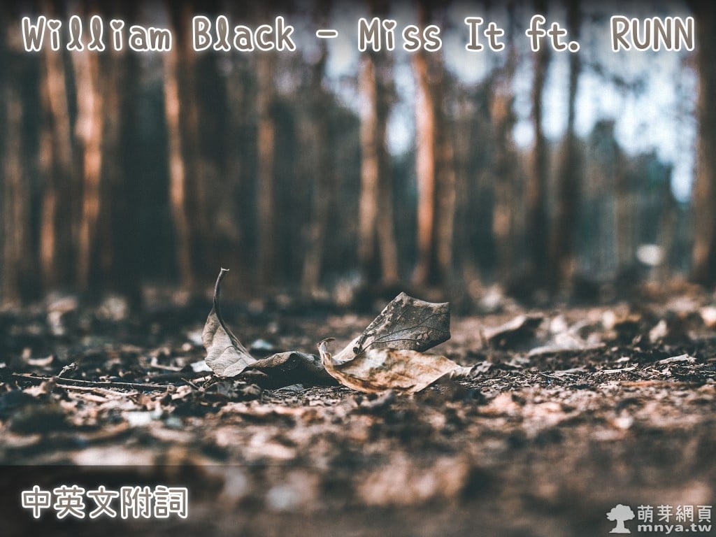 【西洋電音】William Black - Miss It ft. RUNN【中英文附詞】
