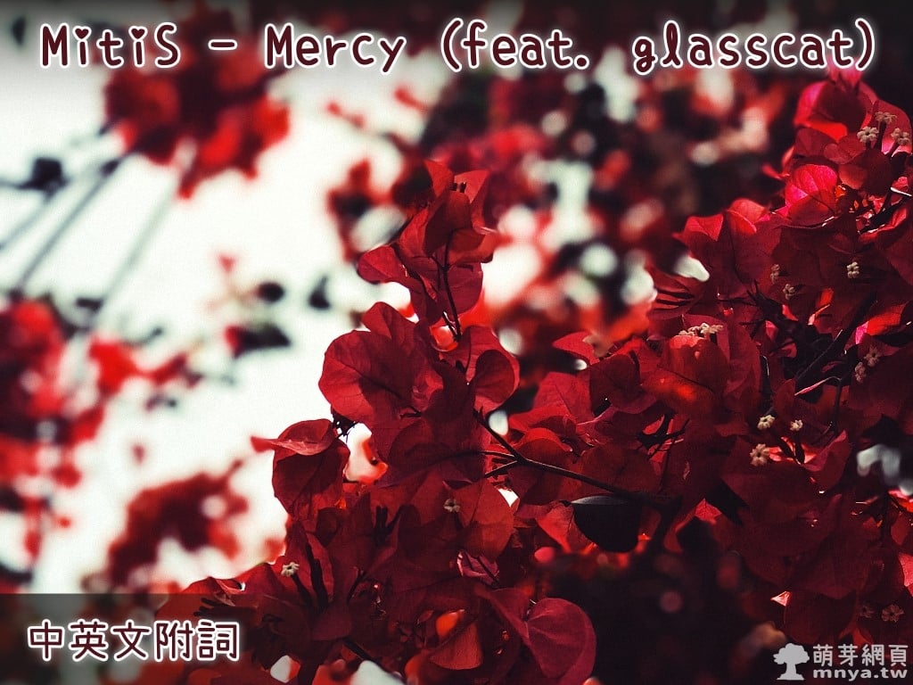 【西洋電音】MitiS - Mercy (feat. glasscat)【中英文附詞】