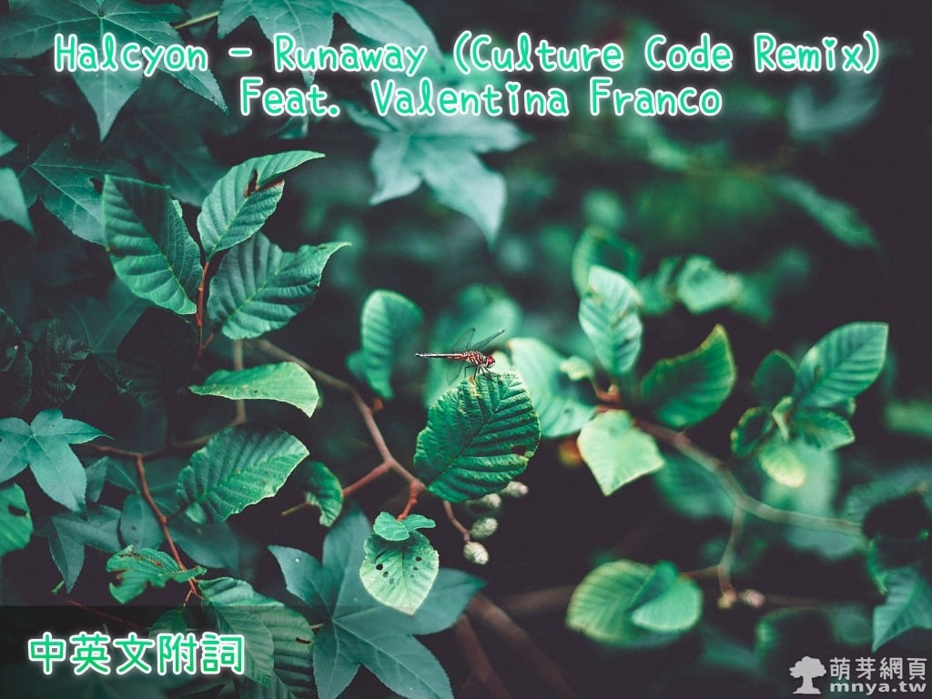 【西洋電音】Halcyon - Runaway (Culture Code Remix) Feat. Valentina Franco【中英文附詞】